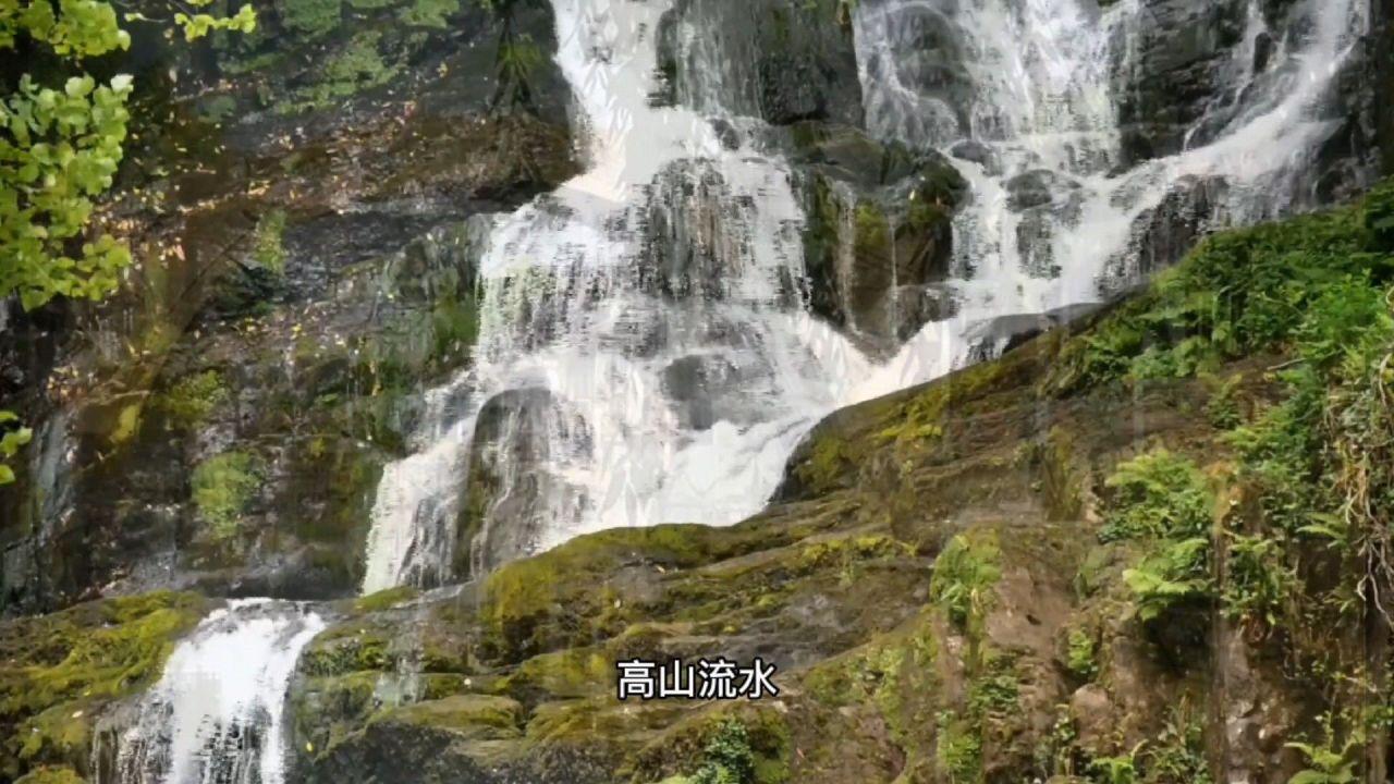 「211」本科生应聘工厂遭爽约因「被嫌学历高」,高学历为何也被歧视?你经历过怎样的职场歧视?—问答类网站,解答你的疑惑